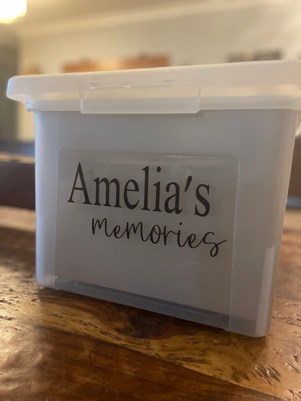 Organized memory storage box with family photos