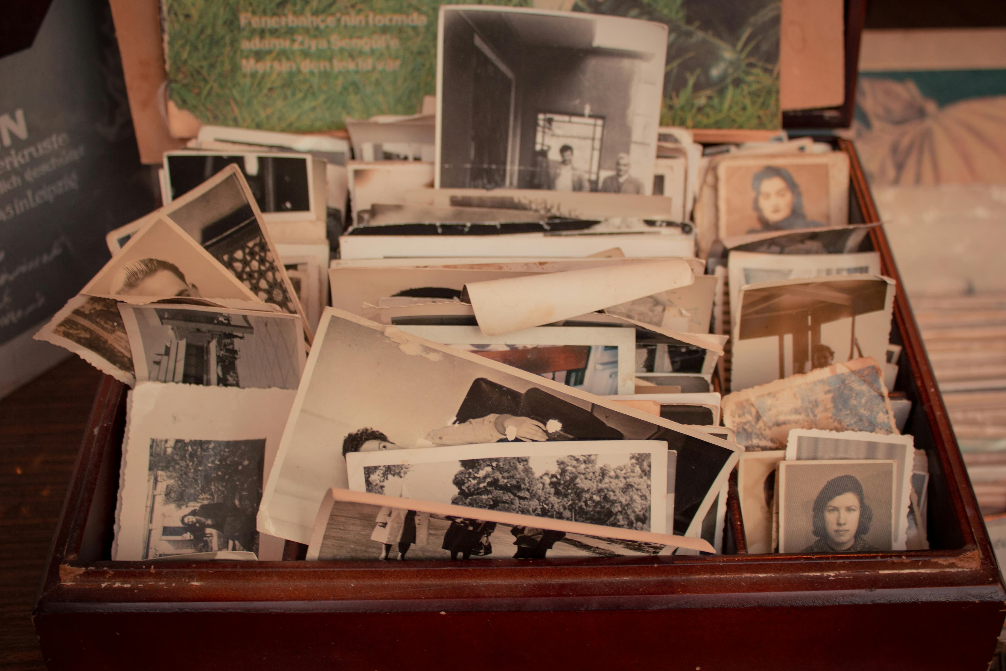 Creating Memory Bins: Preserving Family History